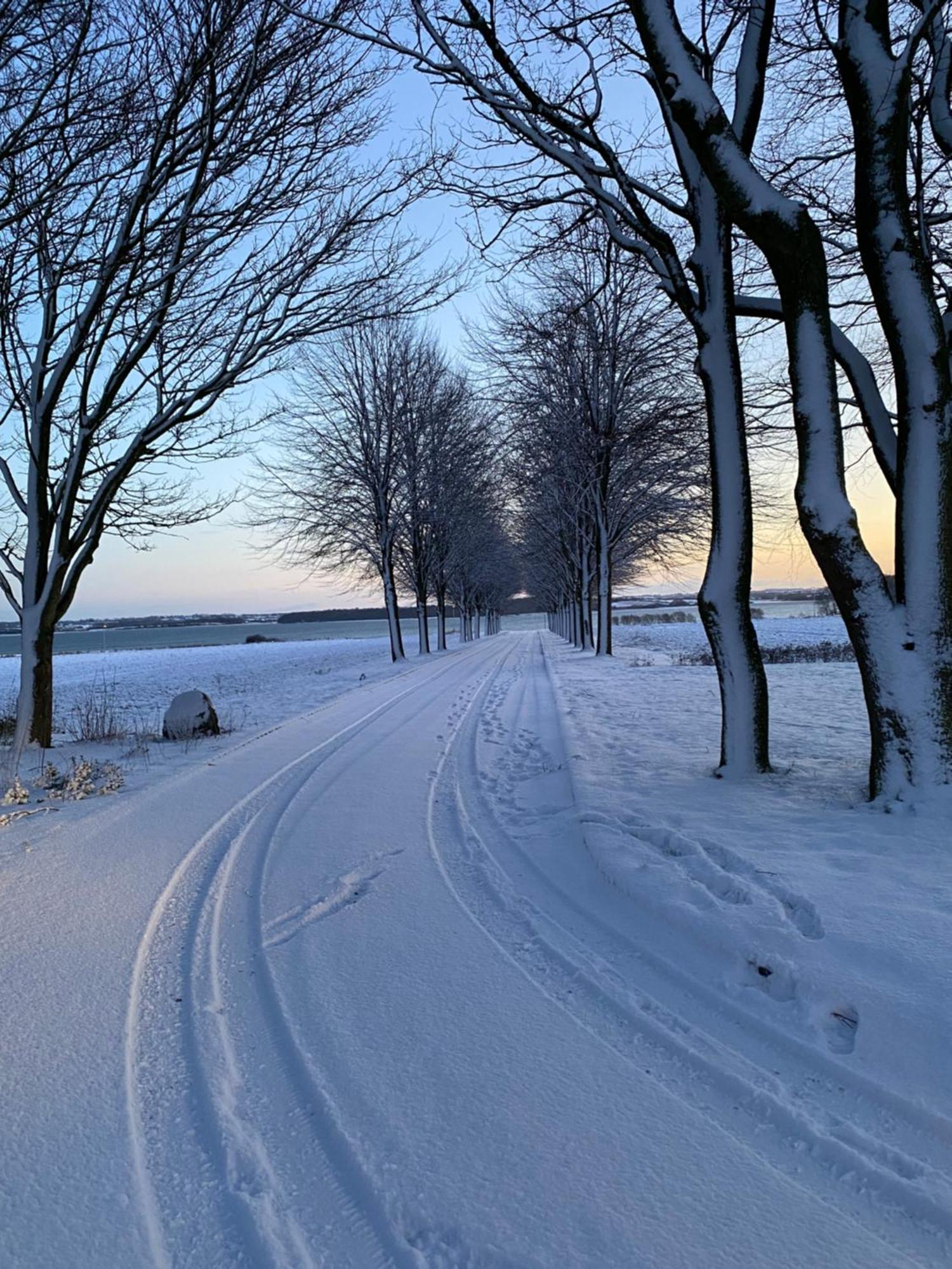 Вилла Vibaek Сённерборг Экстерьер фото